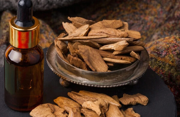 oud 0004 ancient uses of oud 600x390