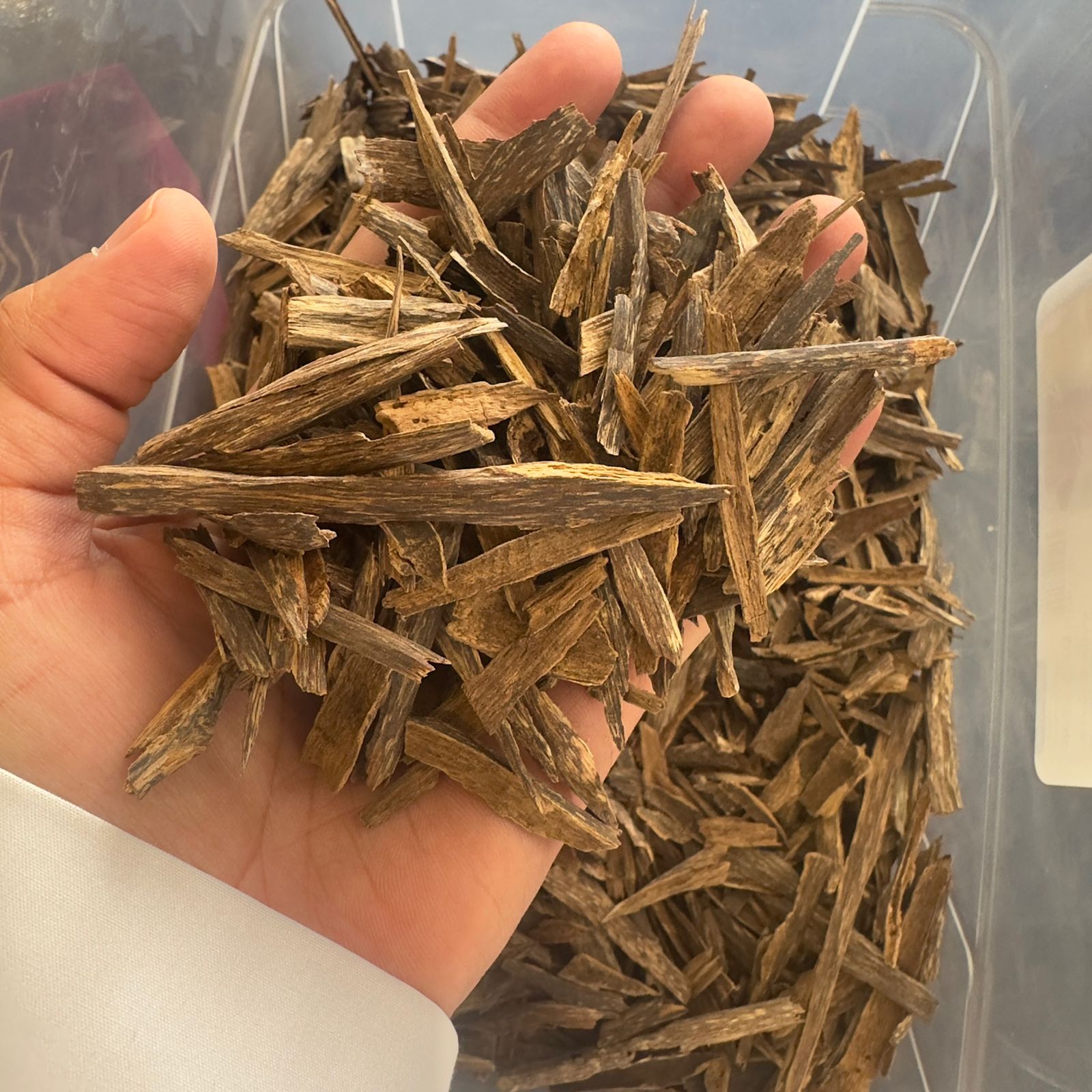 ov wd 004 | indian premium oud